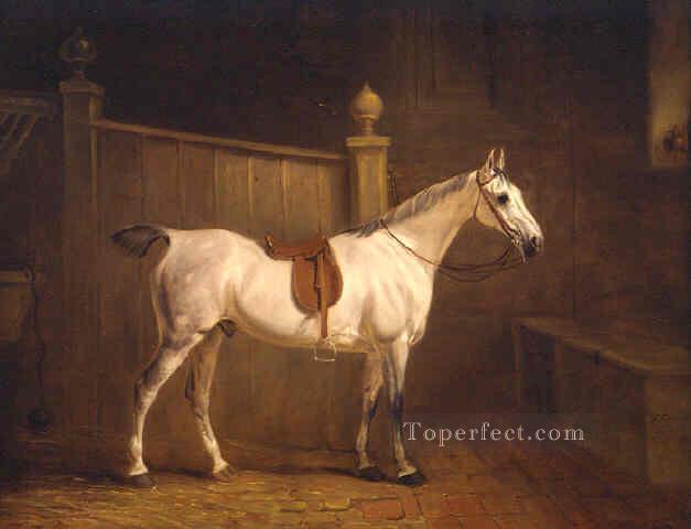 am091D animal horse Oil Paintings